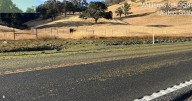 Wine grapes spill onto Colusa County highway after semi