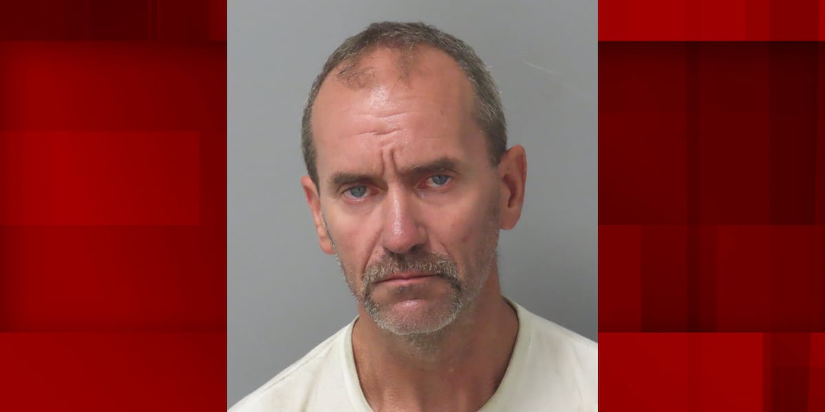 Police arrest man accused of throwing rocks on I
