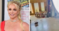 Britney Spears Shuts Down Critics With Justin Bieber Post After Dog Poop Incident Goes Viral