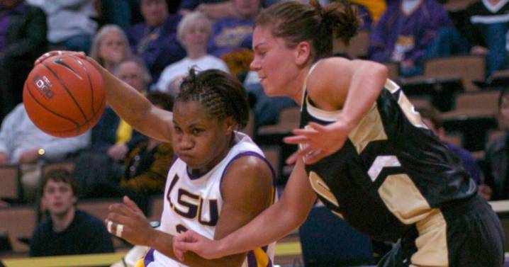 Meet this year's LSU Athletics Hall of Fame Class, including John Brady, Temeka Johnson
