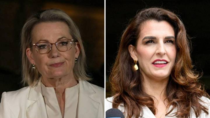 Bradfield Federal election result: Gisele Kapterian accepts loss, abandons further challenges