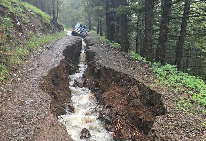 Opinion: The push is on to strip big trees from our national forests