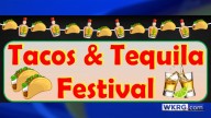 Food, drinks and music highlight of Tacos and Tequila Festival in Foley