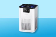 This $32 Air Purifier Cleared My Apartment of Odors and Allergens