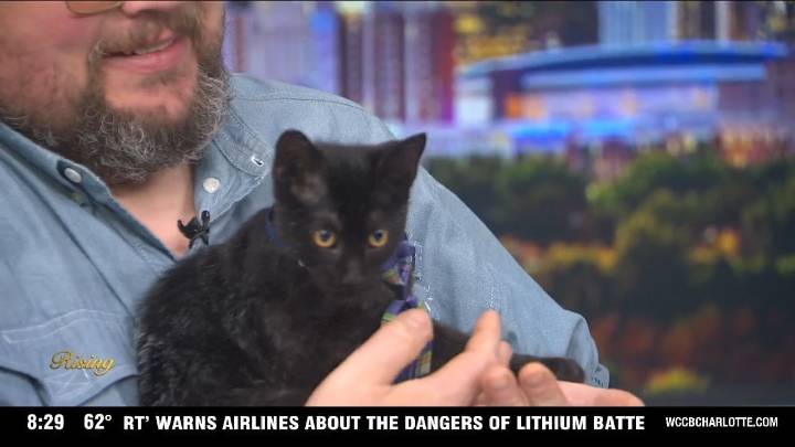 Pet of the Week: Meet Binx!