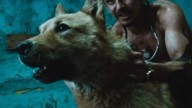 Amores Perros celebra 25 años y regresa al cine con material inédito: donde se proyecta y fechas
