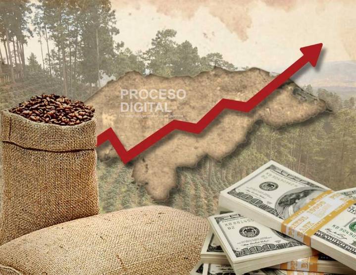 Honduras despide hoy su mejor año cafetalero, con expectativas de mantener buenos precios