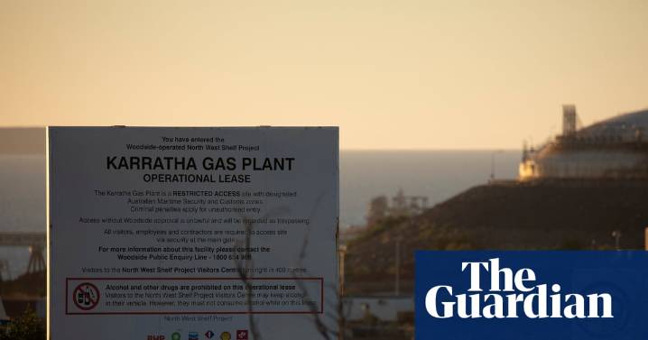Australia’s biggest gas project greenlit to 2070 with ‘partial’ protection for Indigenous rock art