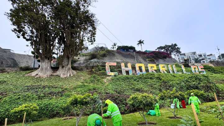 "Árbol Fest 5K": plantaron cinco mil árboles en un distrtito de Lima