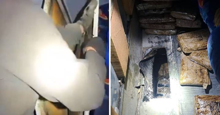 Detienen a 2 personas con casi 50 kilos de droga y fentanilo, en Sonora