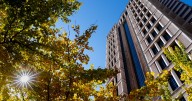 Former St. Louis charity executive gets more than 3 years in prison for $700K theft