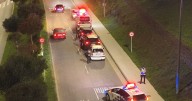 Denunciados varios conductores en Lugo por circular sin carné en vigor tras perder todos los puntos