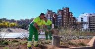 Almería deja a la misma empresa que ‘riegue’ los jardines hasta su relevo