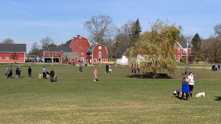 SPCA Serving Erie County hosting 'Paws in the Park' at Knox Farm
