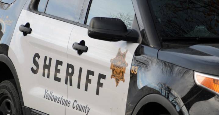 Yellowstone County deputies seize dozens of dogs suspected of being abused