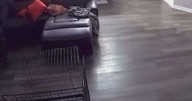 North Texas firefighter on leave, internal investigation underway after video alleges abuse of dog