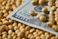 Tras las retenciones cero. El Gobierno compró hoy otros US$500 millones y ya suma unos US$2200 millones