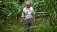 "Locos por ver el valle sembrao": buscan revivir industria de la caña en Yabucoa
