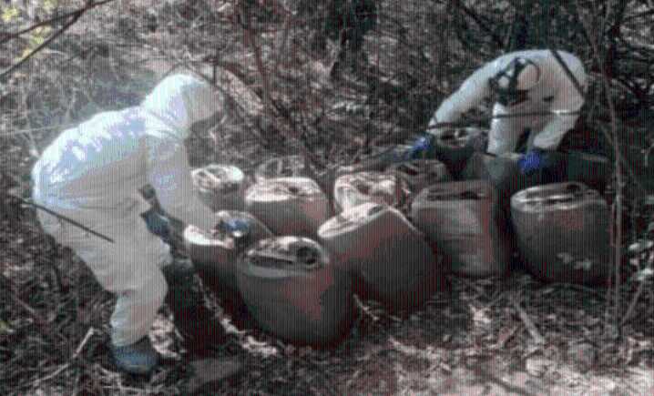 Operativos federales aseguran más de 140 mdp en drogas en Sonora y Sinaloa