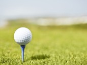 Canadian father shot dead during a golf trip to the U.S.: reports