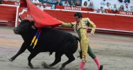 Manizales en camino a su última corrida de toros: reacciones en Caldas a favor y en contra de la tauromaquia