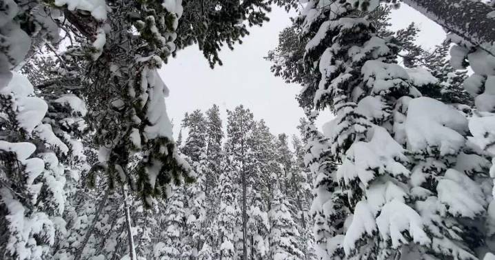 Weather Wise: Winter 2025