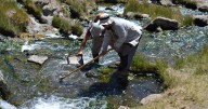 En las aguas termales del Domuyo, científicos descubren una nueva especie de crustáceo