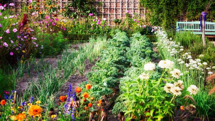 Don't throw away your old coffee grounds or filters - three types of plants in your garden love them