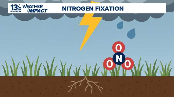 How lightning fertilizes soil with atmospheric nitrogen fixation