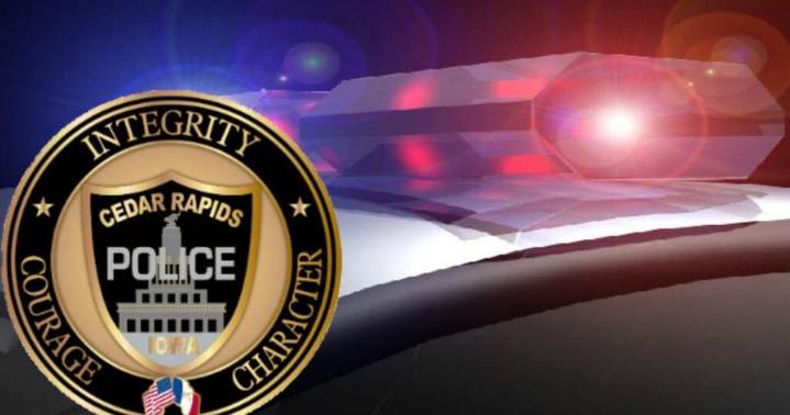 Cedar Rapids early morning fight leads to four arrests on 2nd Ave SE
