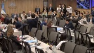 DNU: Comenzaron a debatir los cambios en Diputados