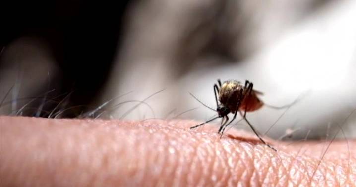 Delaware County, Pennsylvania, identifies first human case of West Nile virus for 2025