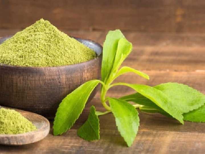 Cuáles son las propiedades curativas de la stevia dulce como edulcorante
