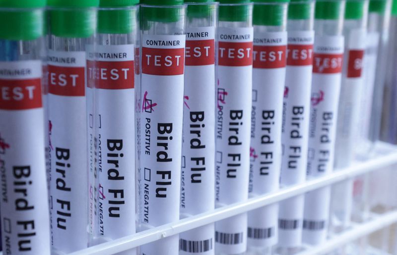 USDA reports Nebraska's first case of bird flu in dairy cattle herd