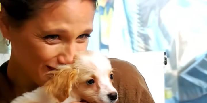 Barbie Vélez mostró el detrás de escena de la llegada de su nueva perrita a su hogar: “Bondiolita llegó a casa”