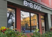 Five new businesses in Anne Arundel County you may have missed