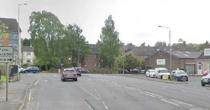 Dogwalker in hospital after 'pack of Bullies and Staffys' attacked him and labrador