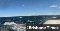 Humpback entangled near Brunswick Heads