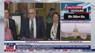 Democratic leaders speak on shutdown, healthcare costs