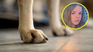 "Tenía toda la vida por delante": Adolescente muere tras brutal ataque de un perro cuando visitaba a una amiga en Australia