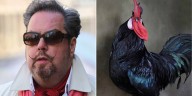 “Avistaje”, conexión y paralelismos con el animal que (me) mira