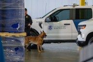 Border Report Live: Americans 'dominate' drug trafficking