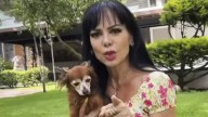 Maribel Guardia toma la decisión de mudarse de casa: “ya es muy grande para mí”