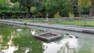 La gripe aviar obliga a cerrar el Parque de María Luisa en Sevilla tras hallarse cinco patos muertos