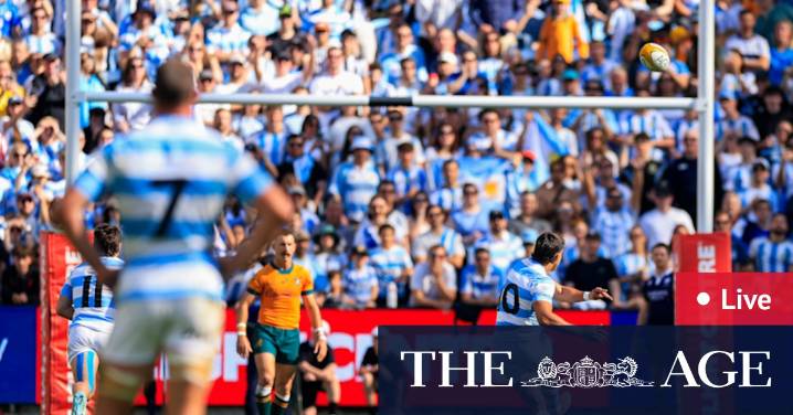 Wallabies v Argentina in Sydney, scores, odds, how to watch, news, team lists