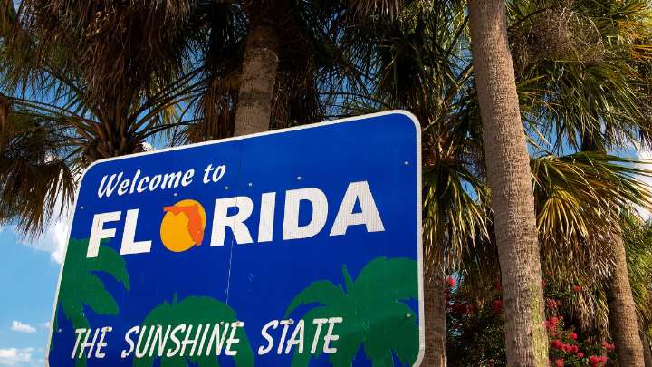Florida’s once-pristine springs threatened by pollution, development and climate change – NBC 6 South Florida