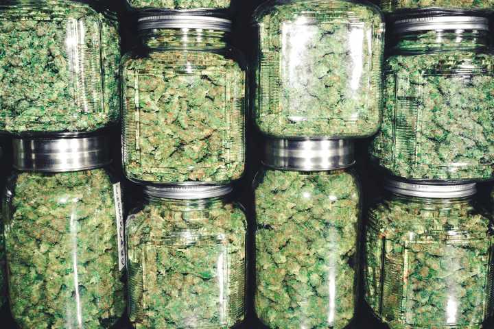LA Council Confirms Mayoral Appointee to Cannabis Regulation Commission