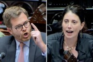 Cruce en Diputados. El encendido discurso de Massot en defensa de Palestina y la fuerte respuesta de Sabrina Ajmechet