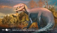 Hallazgo único: descubren en Argentina una nueva especie de megaraptor con restos de su última comida