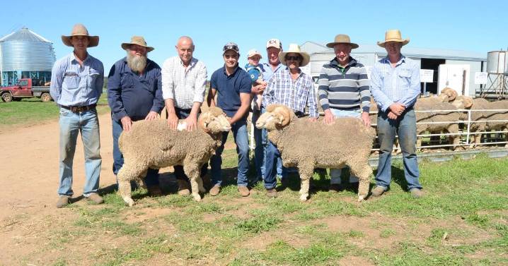 Allendale Merinos 2025 ram sale results, top price and average